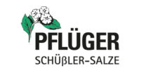 Pflueger Schuessler Logo